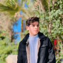 محمد الموسوي
