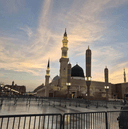 الشنين