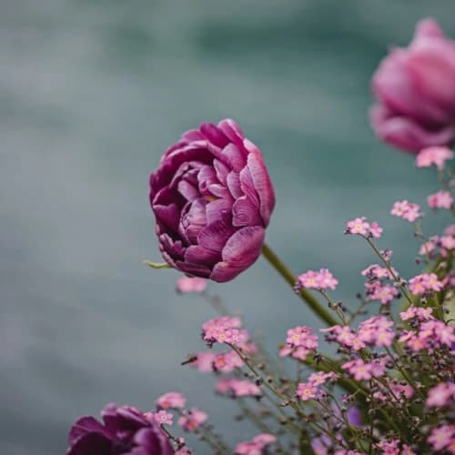 01JYW8VGW0N39BRAZM7SWJCMT6