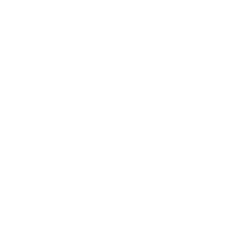 01K1F307TNCN8K3B3JJ9FPSHXQ