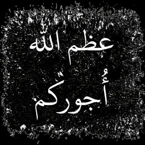01K1Z21SAR9DQQBFMMBX0Y8RNY