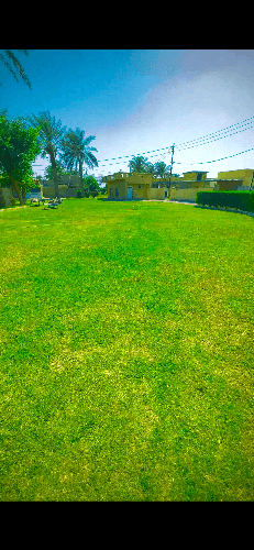 حلة