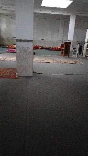 01K23PS8MCE56DY8JSEEN5Z83C