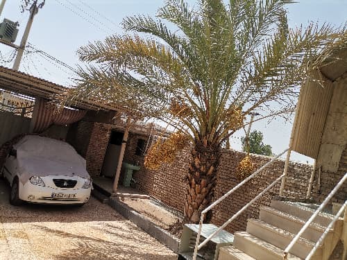 بیت ابو سعید
